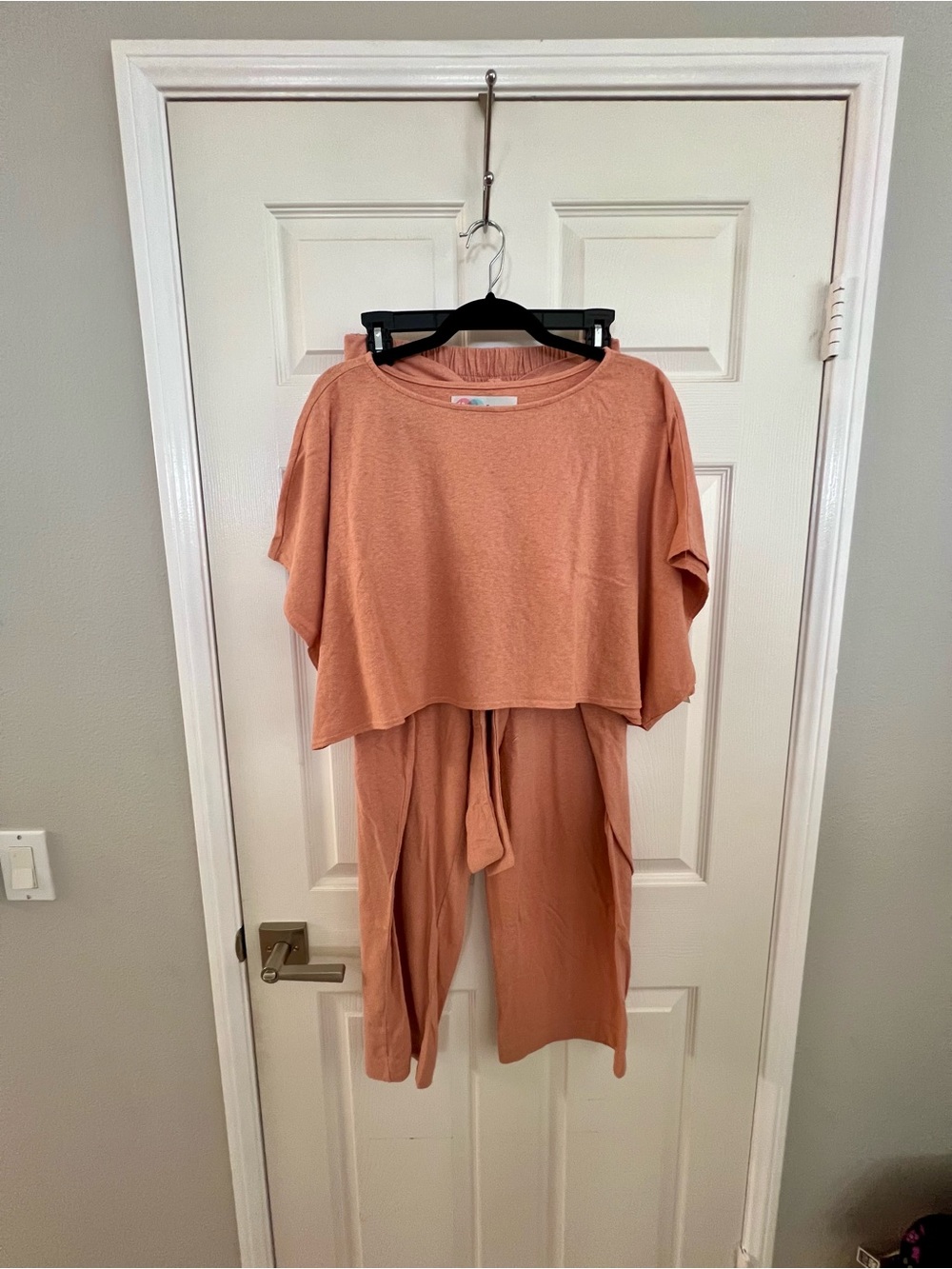 Free People Set - Relaxed Crop Top and pants in Dusty Coral NWOT
